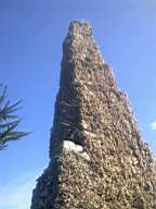 bellanamullia - 1318.jpg